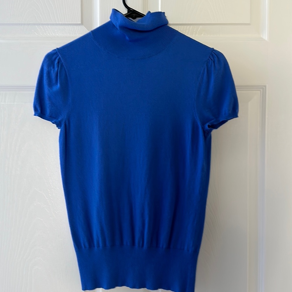 Ann Taylor Turtle Neck Sweater top